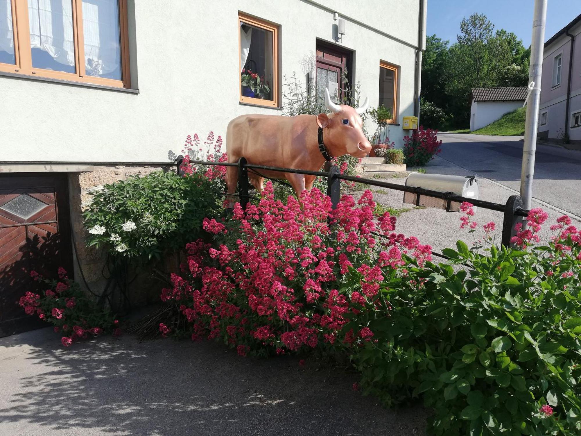 Apartment 43 Oberhoflein Екстериор снимка